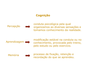 Diapositivo 1 - Raquelcarvalho
