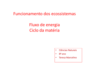 Funcionamento dos ecossistemas Fluxo de energia Ciclo da matéria