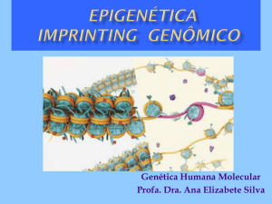 Epigenética: imprinting genômico