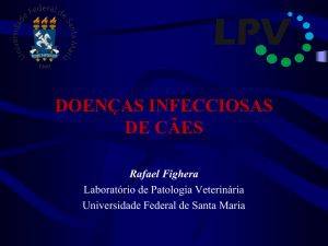 Diagnóstico - Rafael Fighera