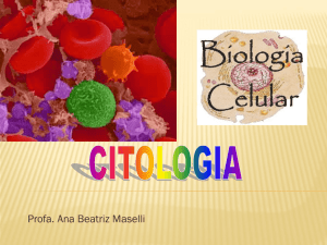 citologia 2012