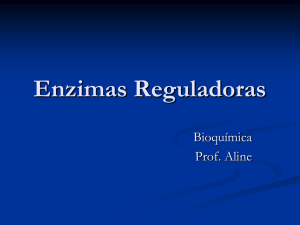 enzimas reguladoras