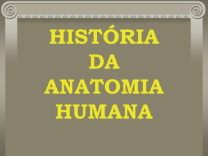 Historiaanatomia-17 - Pós-Graduação em Esportes de Aventura