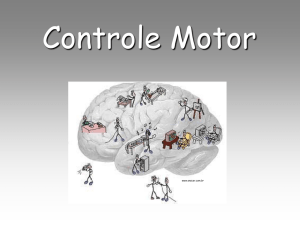 Controle Motor