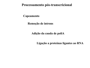 Processamento pós-transcricional Capeamento Remoção de
