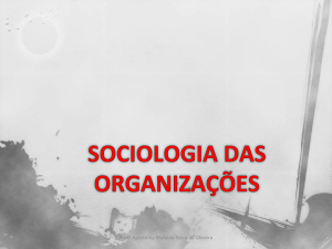 Porque estudar Sociologia das Organizações?