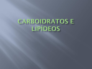 Carboidratos-e-Lipidios novo office