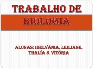 Trabalho de Biologia - Minas Legal Service
