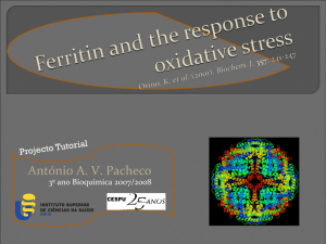 Apresentação Ferritin and the response to oxidative stresshot!