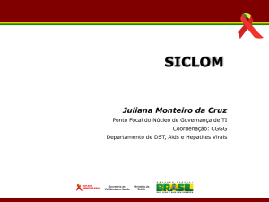 Apresentação Reunião abril de 2013 - SICLOM - Gerencial