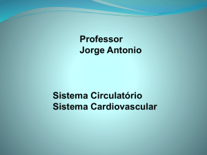 Slide 1 - Professor Jorge Antonio