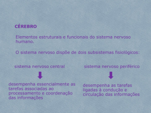 Diapositivo 1 - Raquelcarvalho