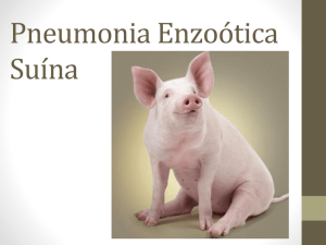 Pneumonia Enzoótica Suína