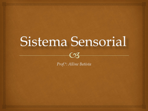 aula_12_-_sistema_sensorial - Unioeste