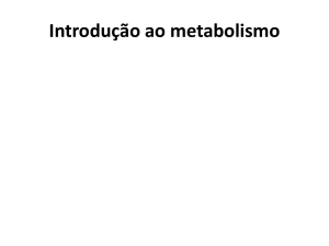 Introdução ao metabolismo - IQ-USP