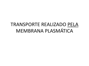 transporte realizado pela membrana plasmática e sistema
