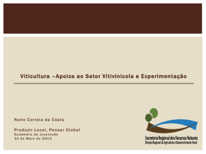 Viticultura –Apoios ao Setor Vitivinícola e Experimentação