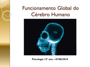 C&eacute;rebro psicologia &ndash; jaco luis sofia