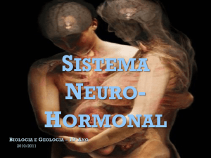 Sistema neuro-hormonal