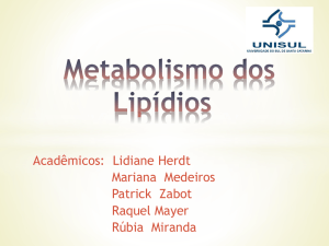 Metabolismo dos Lipídios