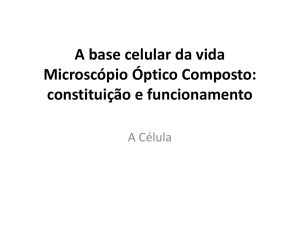 Microscópio Óptico Composto - Agrupamento de Escolas Lima de
