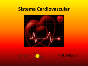 Sistema Cardiovascular 2015