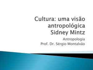 Cultura: uma visão antropológica Sidney Mintz