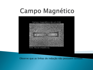 Campo Magnético - Terceiro Churras