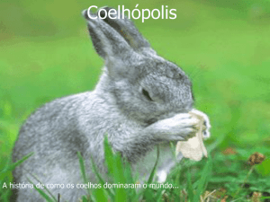 coelhpolis - rafael fotonovela