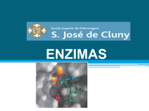 enzimas - ESESJCluny