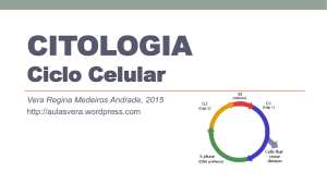 6 CITOLOGIA Ciclo Celular – Mitose – Meiose 2015 VRMA