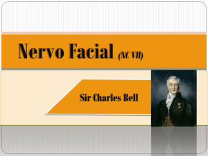 Nervo Facial (NC VII)