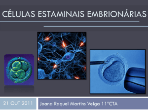 Células estaminais embrionárias