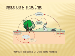 ciclo do nitrogênio - Profª Jaqueline Della Torre Martins