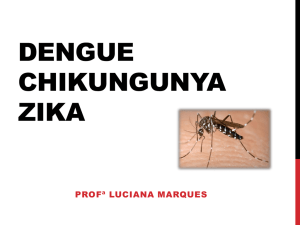 dengue chinkungunia zika