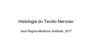 1-tecidonervoso2017 - AULAS VERA REGINA ANDRADE