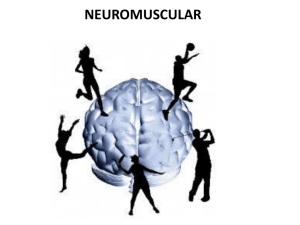neuromuscular_2014