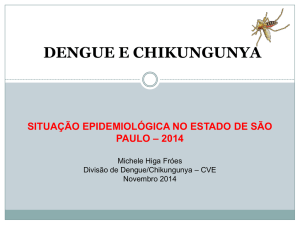 DengueSituaï¿½ï¿½oEpidemiolSP - CRF-SP