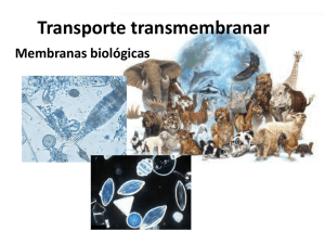 transporte transmembranar Ficheiro