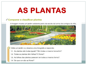 As plantas (ppt)