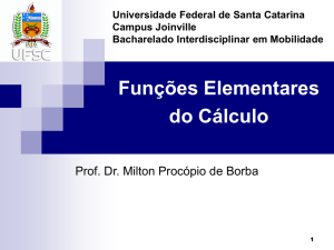 Funcoes_Elementares - Milton Procópio de Borba