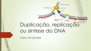 Duplicação, replicação ou síntese do DNA