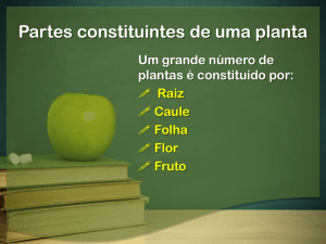 DEPOIS - Partes constituintes de uma planta