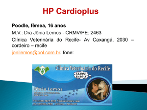 HP Cardioplus Poodle, fêmea, 16 anos