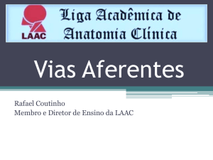 Vias Aferentes - laac-anatomia.webnode.com.br