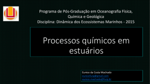 Processos químicos em estuários