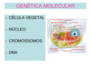 Genética Molecular