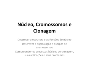 Núcleo, Cromossomos e Clonagem