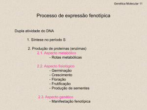 Slide 1 - Ilustrados