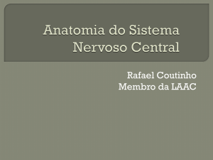 Anatomia do Sistema Nervoso Central - laac